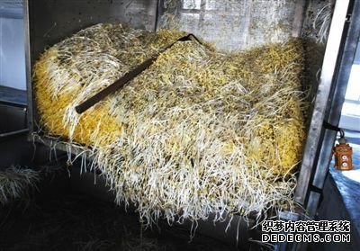 大興豆芽非法生產“基地”的車間內，已經生產出來的豆芽正在等待最后一道清洗工序。這些豆芽的長度接近20厘米，遠遠超過正常豆芽。